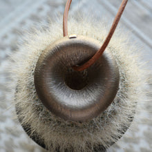 画像をギャラリービューアに読み込む, Tehu Tehu " Butterflyhunting Bell 1st "